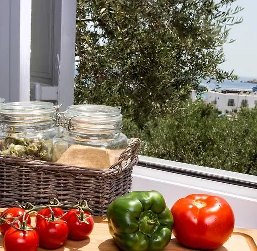 Bay Bees Sea View & Homes Aparthotel Platys Gialos (Mykonos)